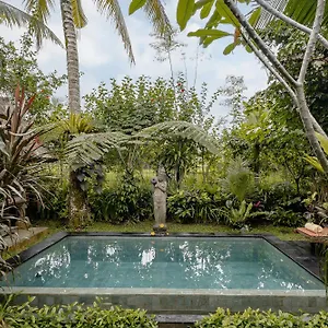 https://moringa-ubud-villa.ubudhotelsnow.com